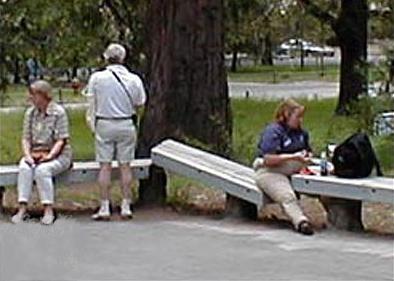 Broken Concrete Bench